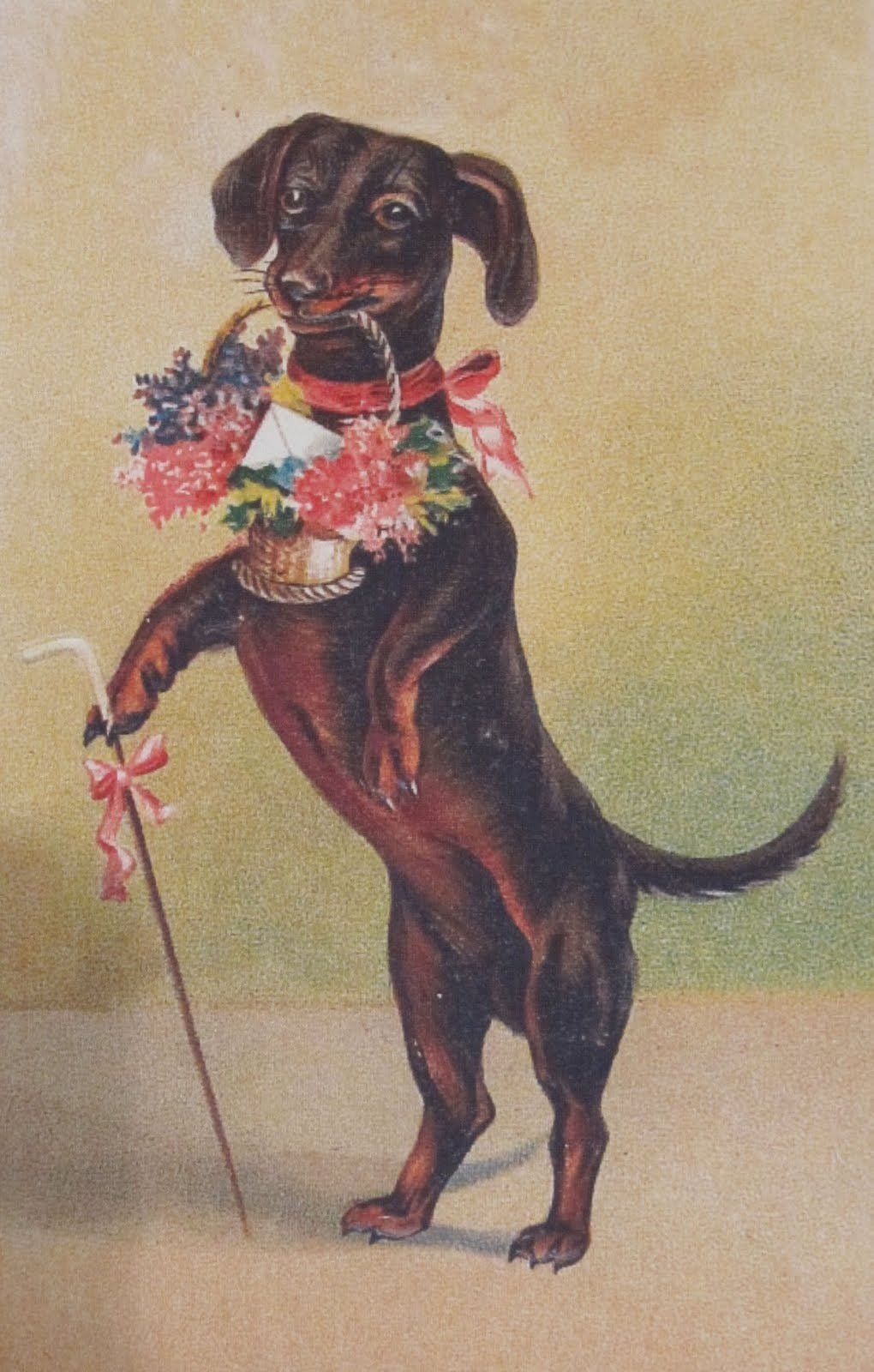 С днём рождения собачки