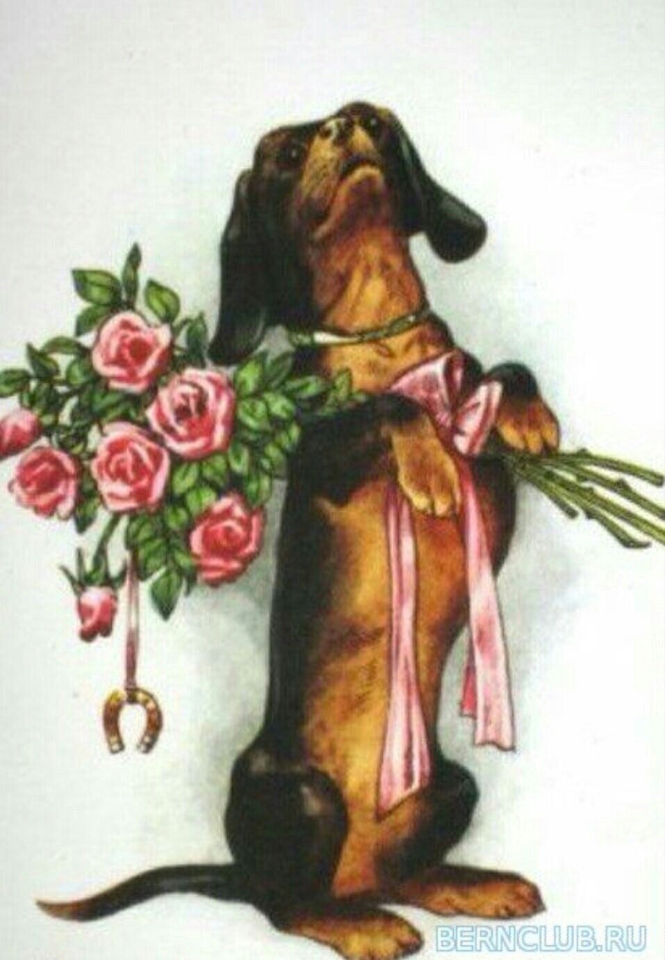 Такса 18 век