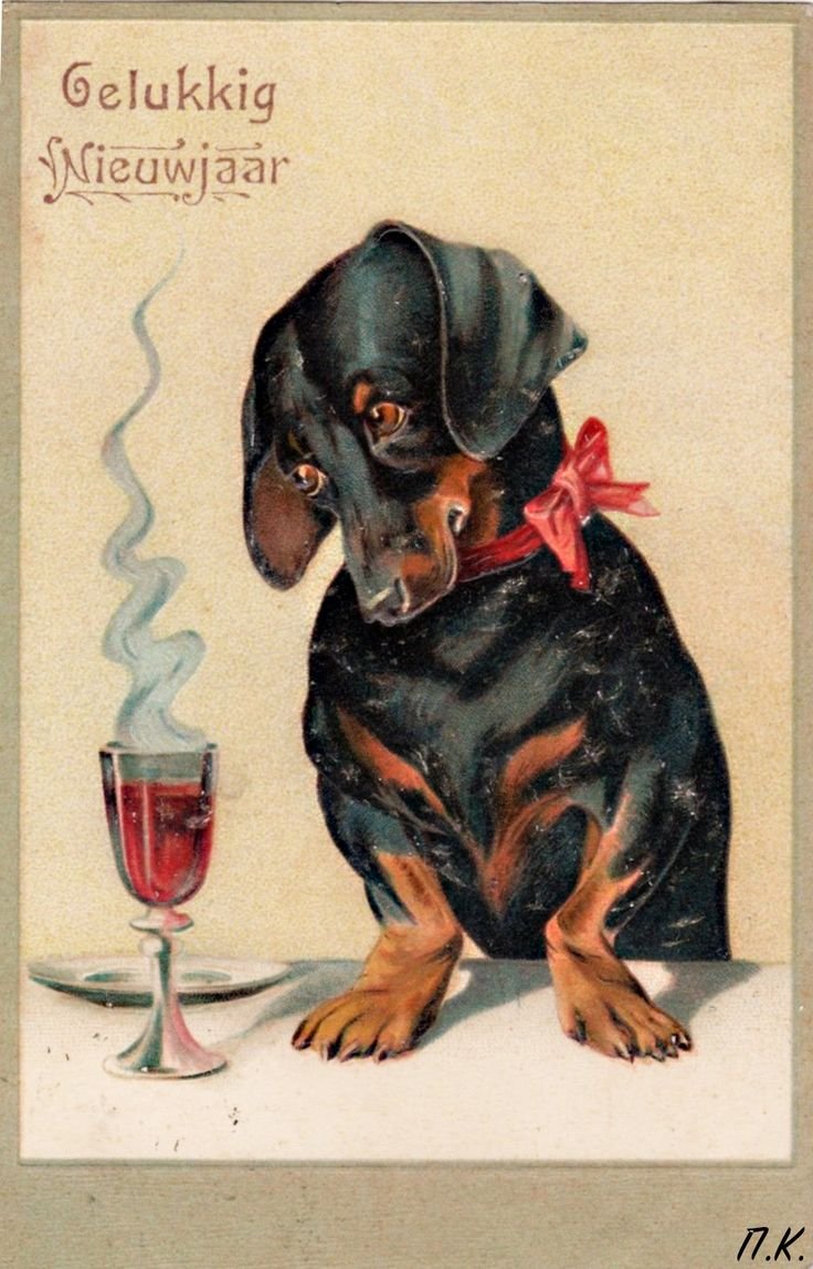 С днем рождения такса картинки