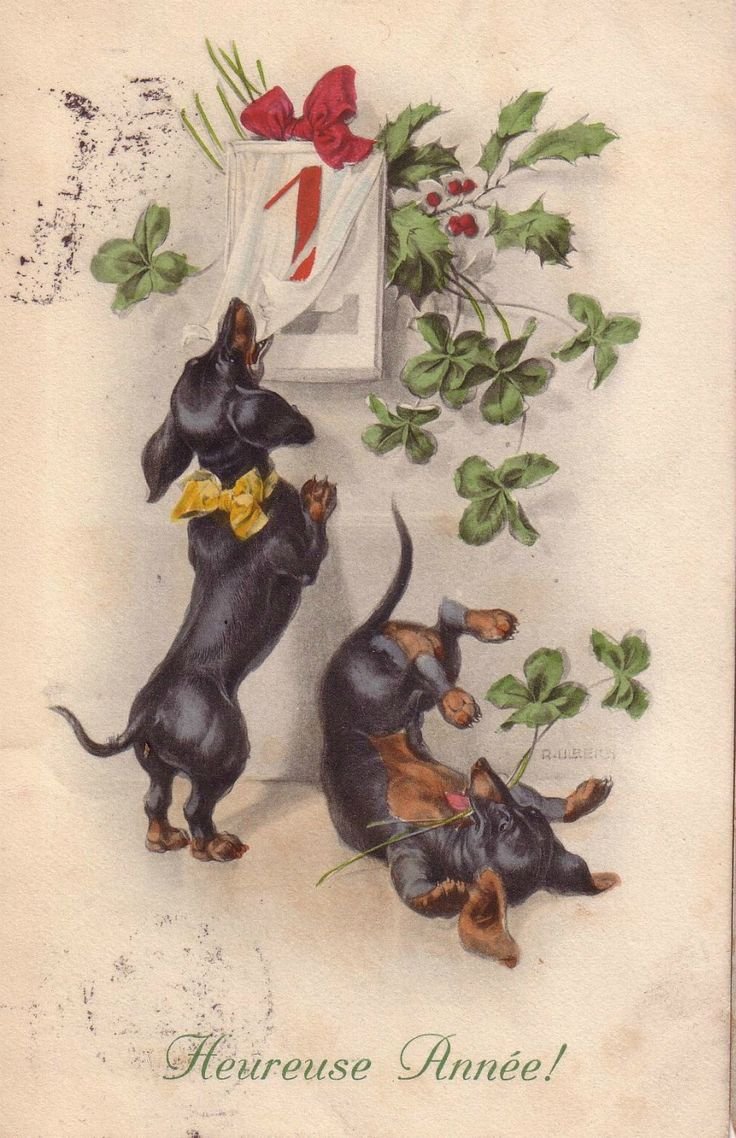 Торт с собакой