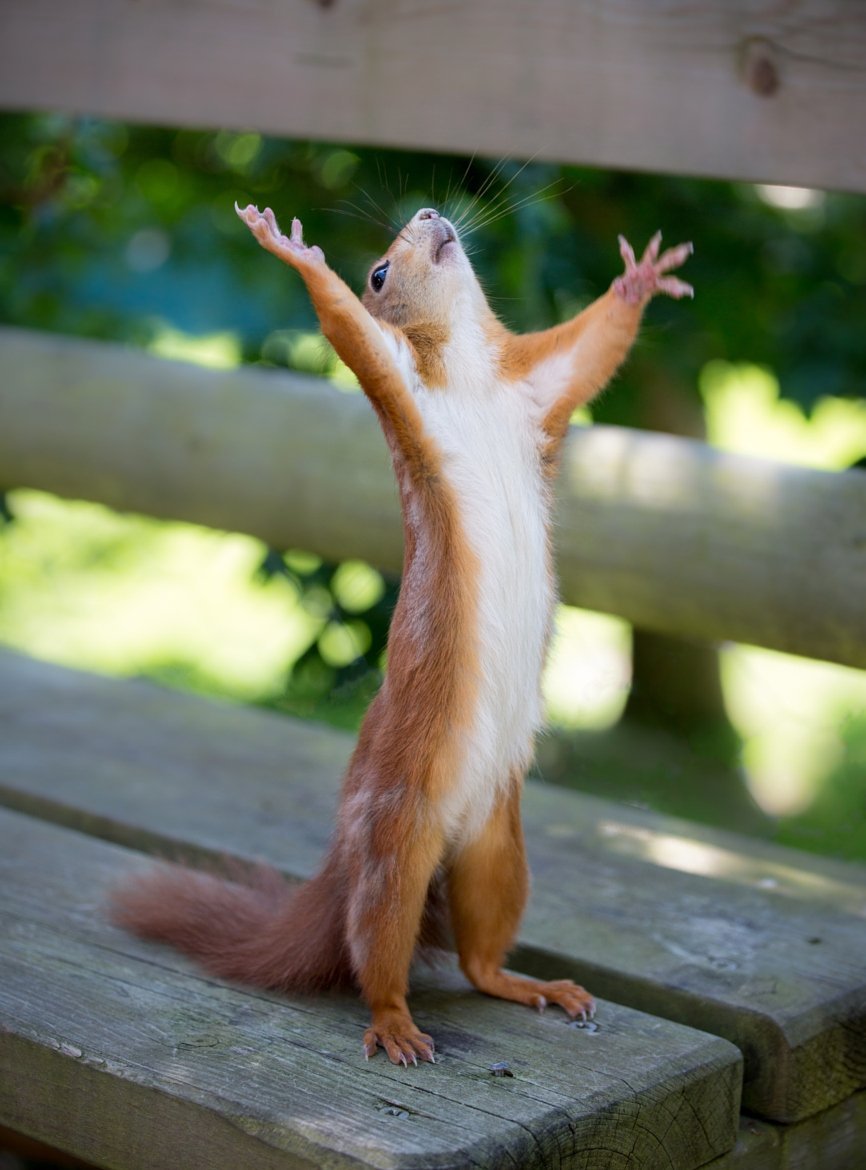 Юмор про отпуск и море