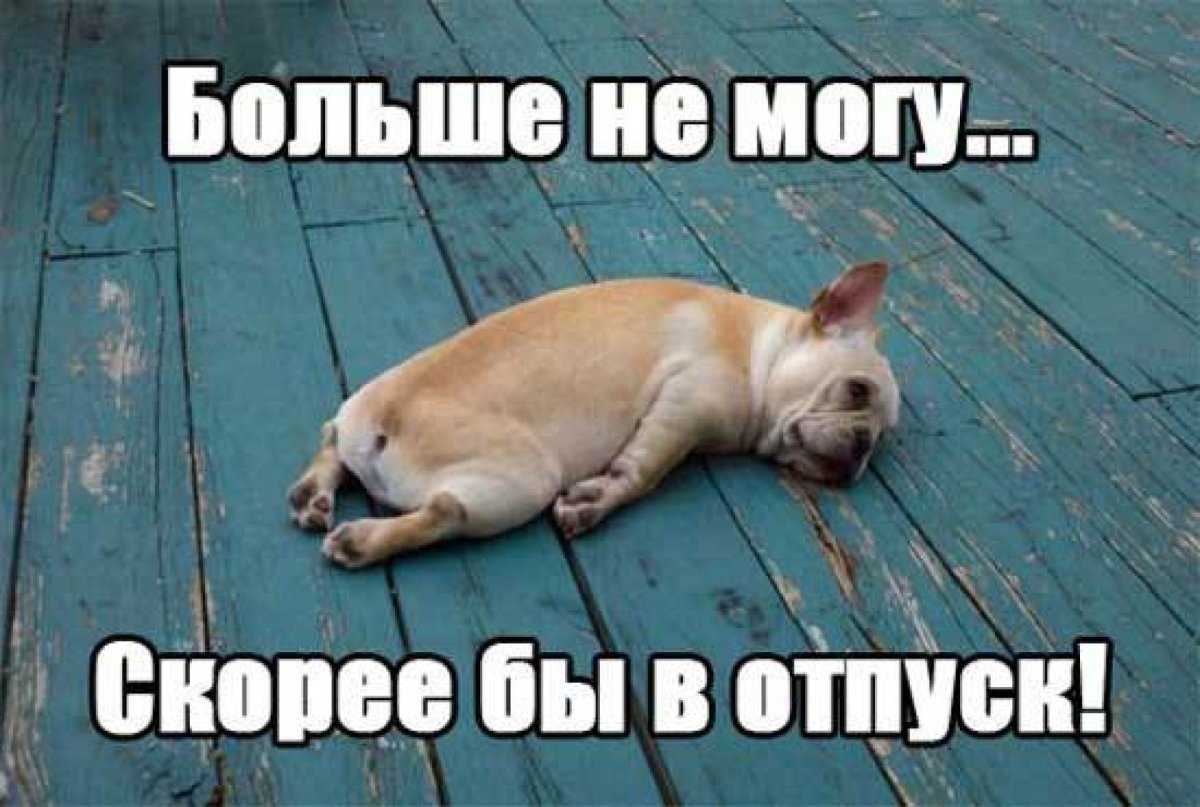 Открытки с отпуском поздравления