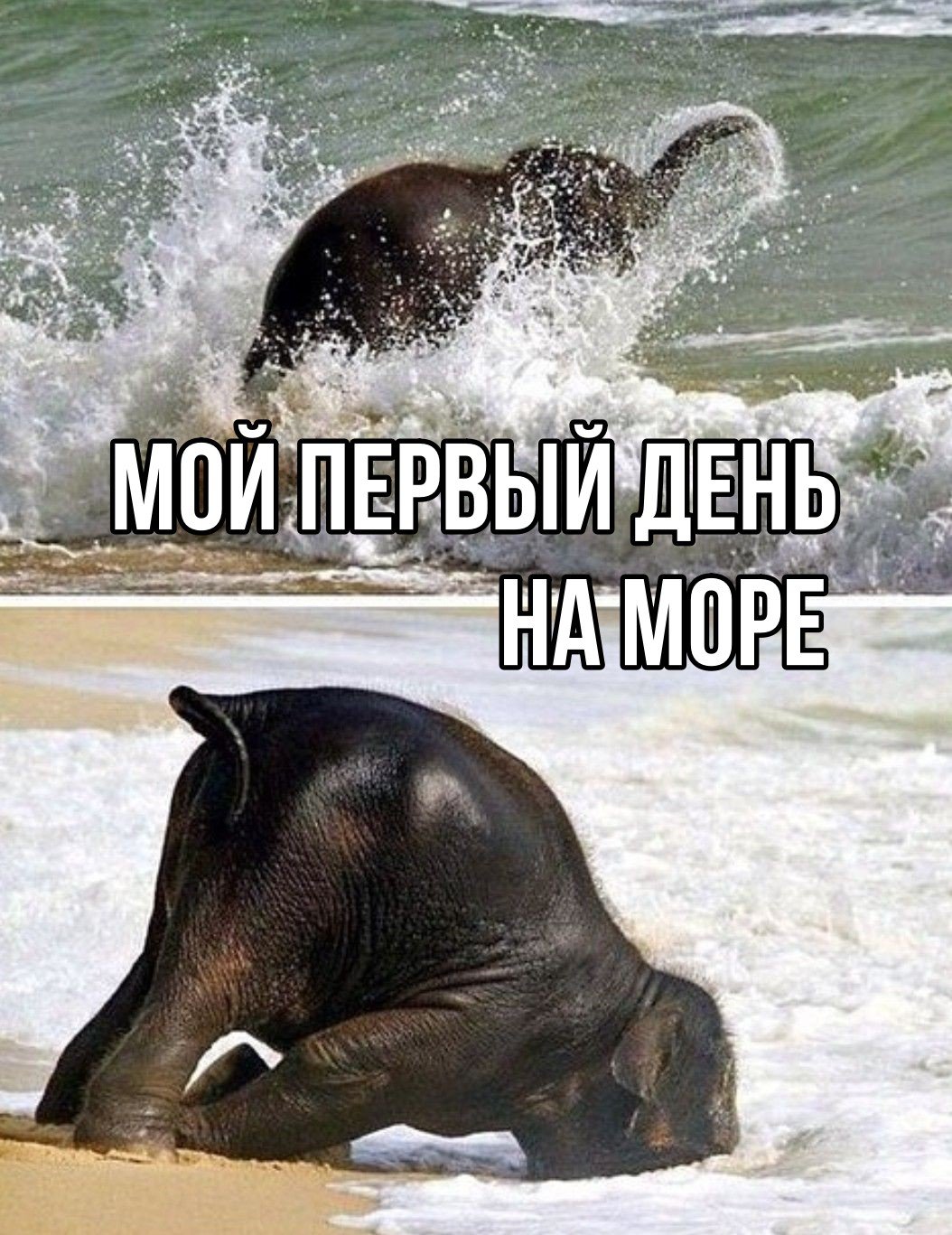 Ура скоро отпуск картинки