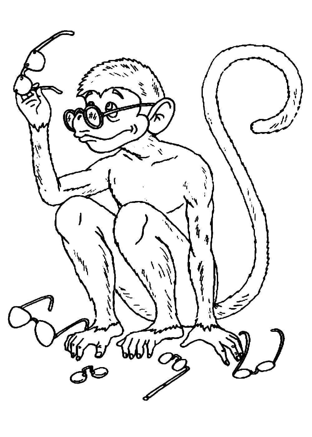 Мартышка и очки басня книга