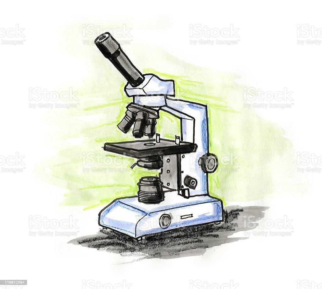 Микроскоп рисунок для детей 5 класса