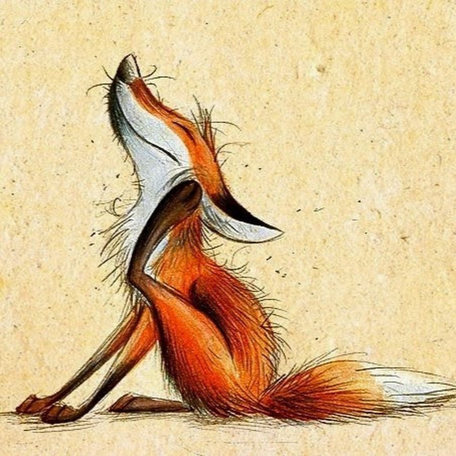 Смешные лисы рисунки