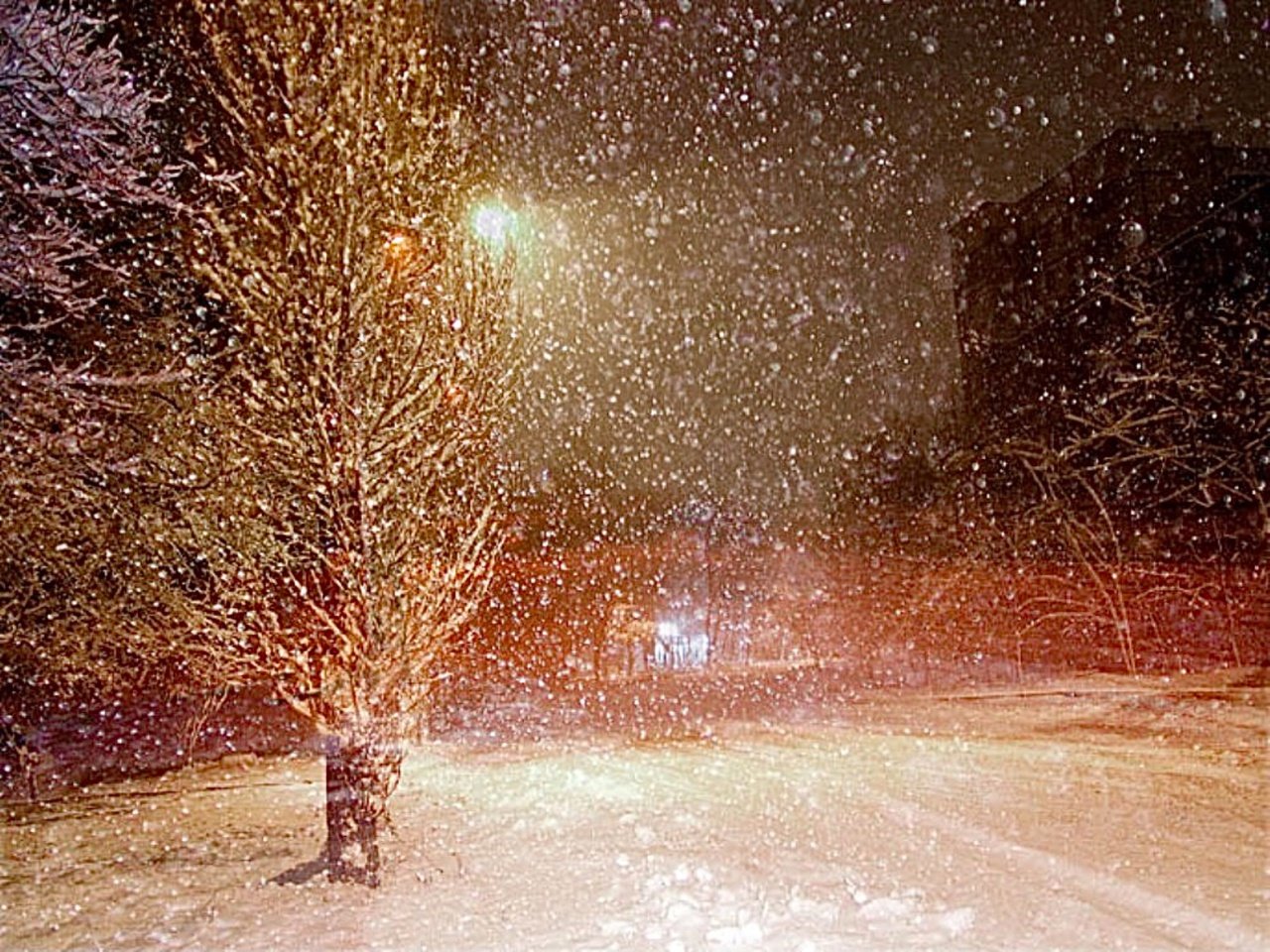 Снежок на дорогу падает. Снегопад. Метель. Метель вечером. Зимняя метель.