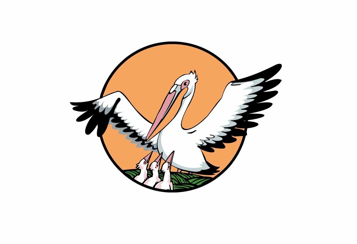 Пеликан учитель года