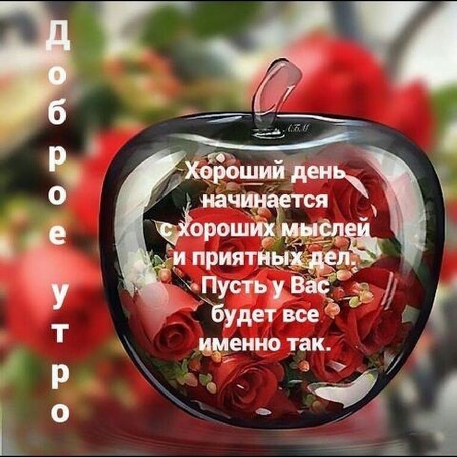 Хорошего дня и здоровья