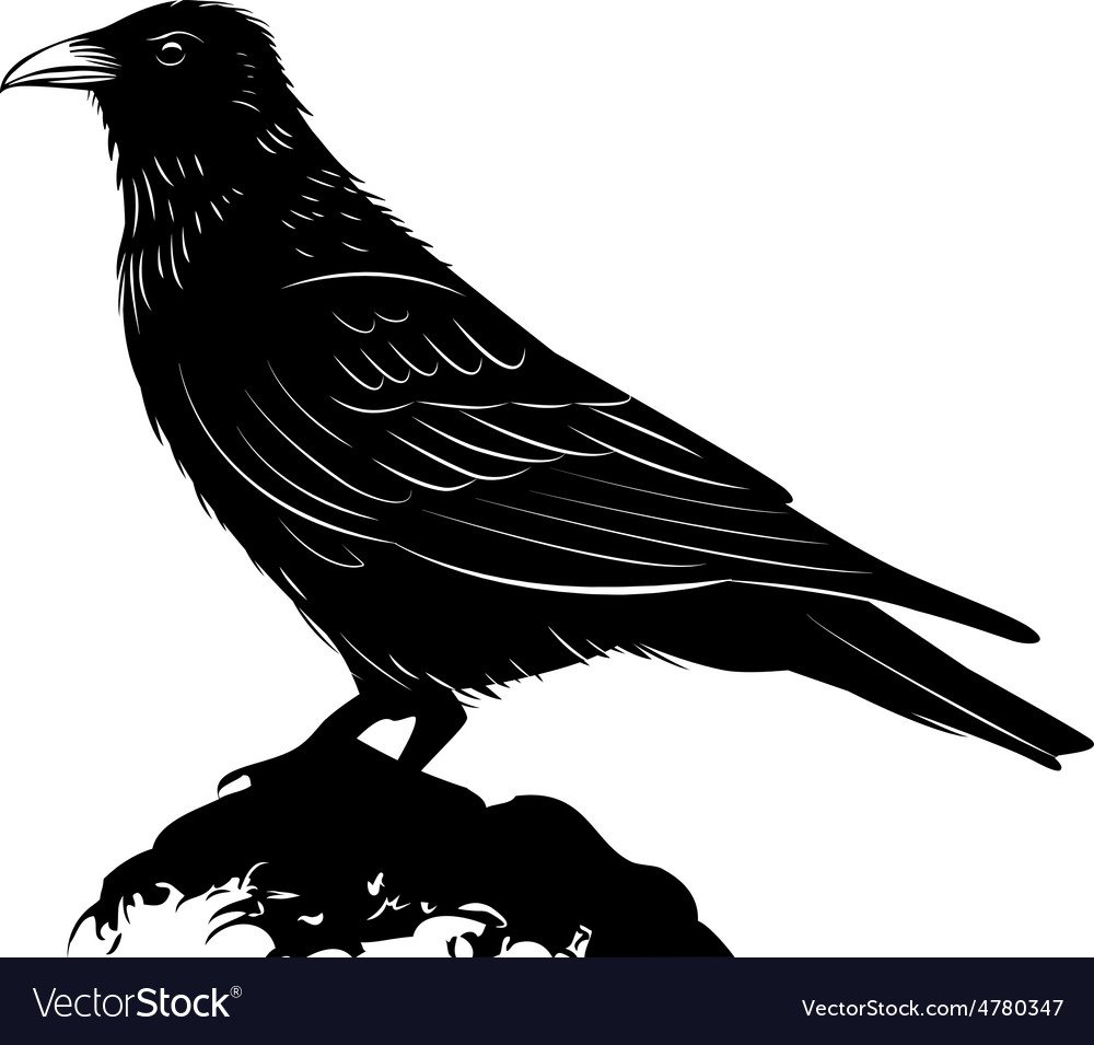 Черный ворон вектор