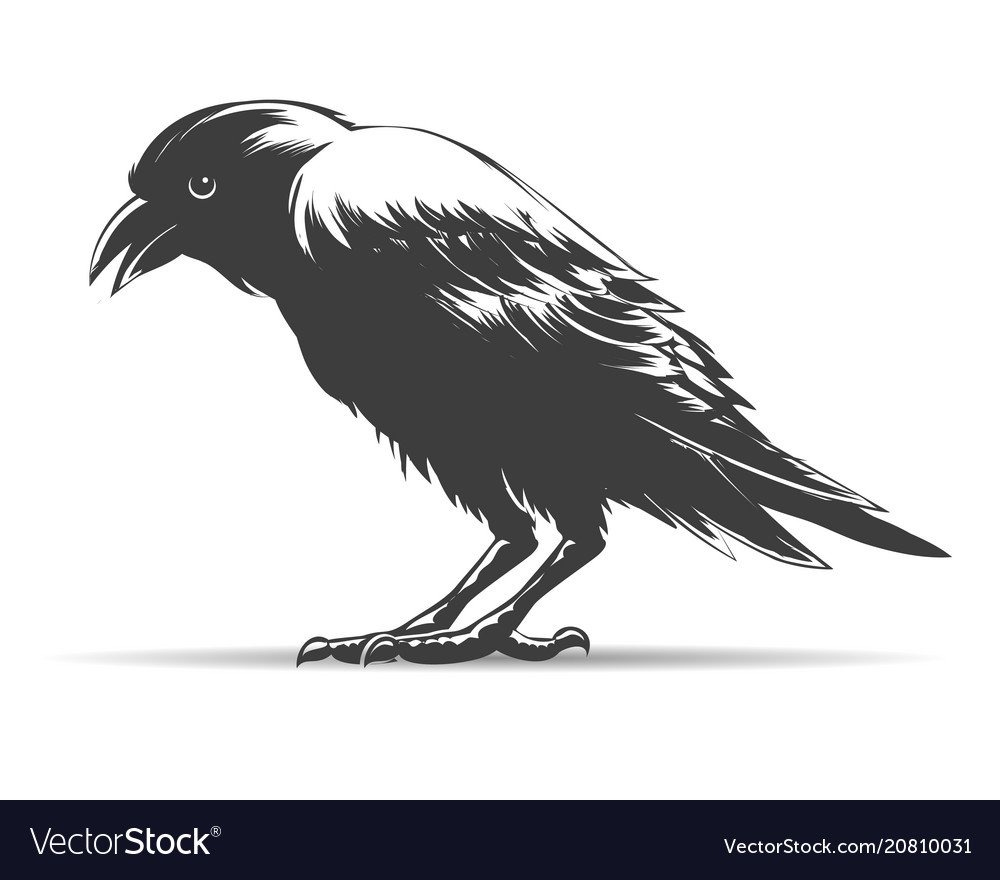 Ворона стоковый вектор