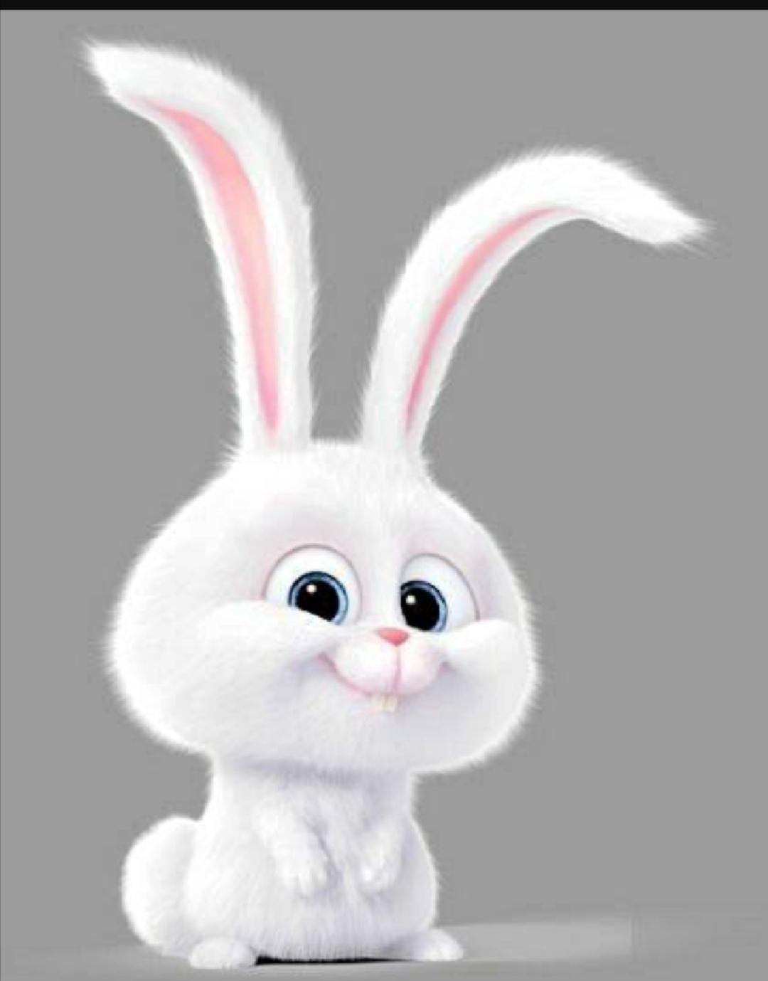 Хорошего дня зайчик картинки