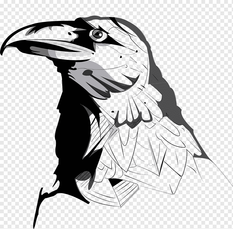 Ворон в полете на черном фоне