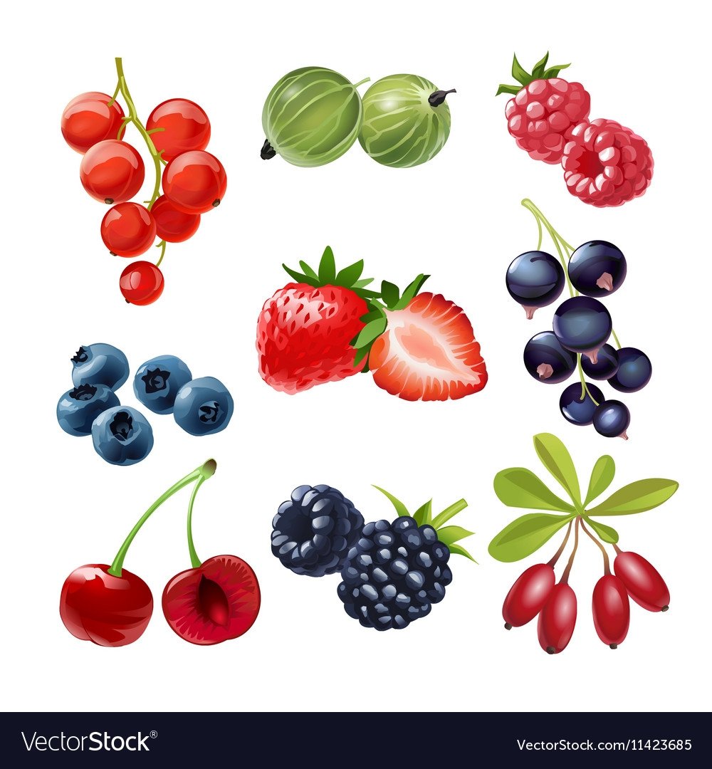 Векторные ягоды