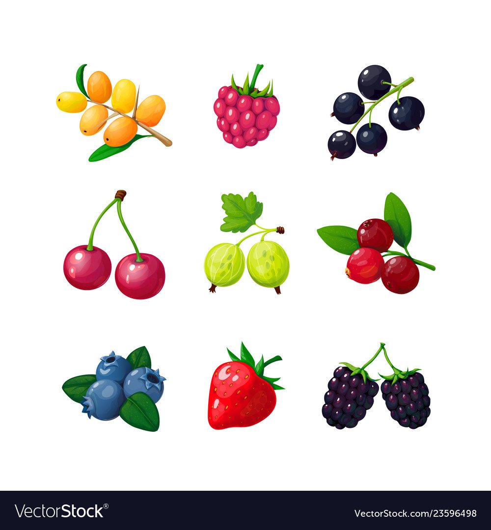 Крыжовник ежевика малина клубника