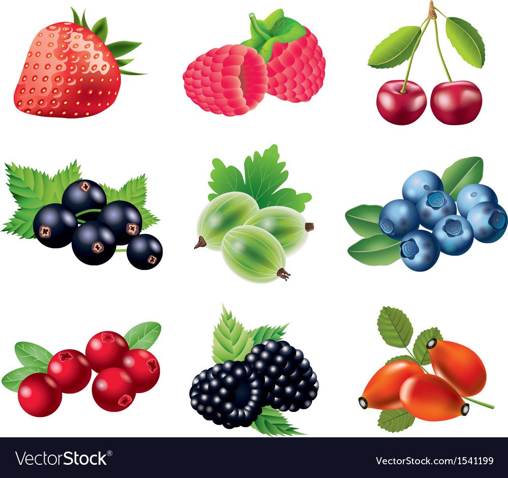 Ягоды рисунок для детей