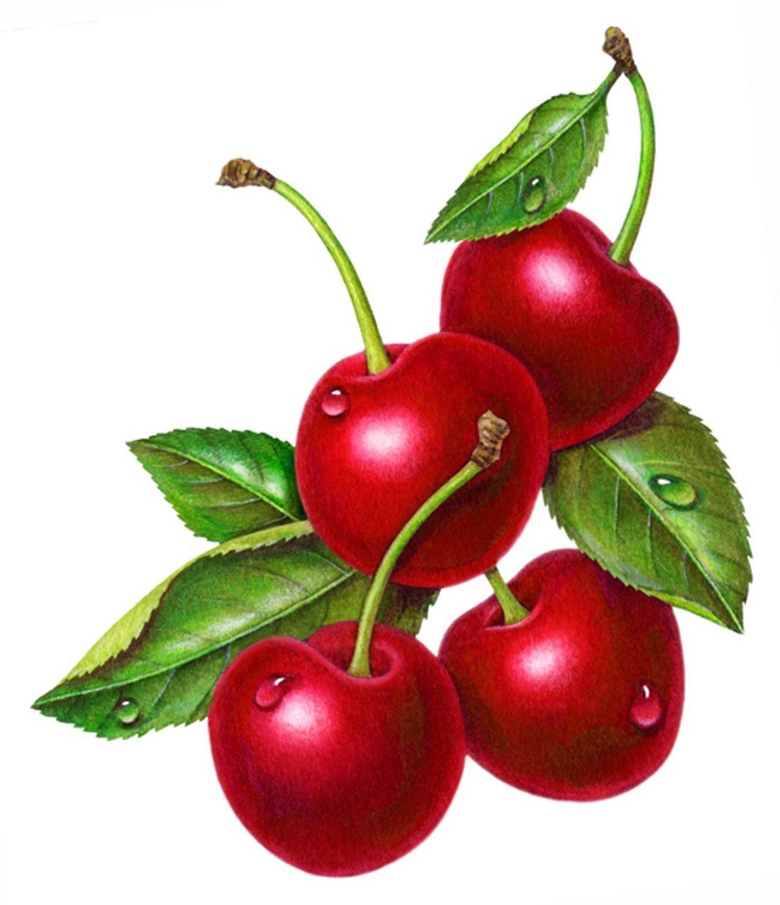 Фрукты вишня