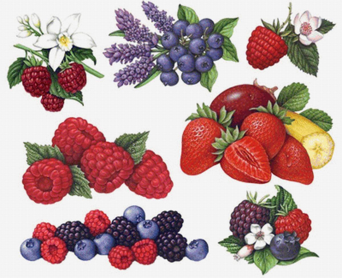 Ягоды для детей