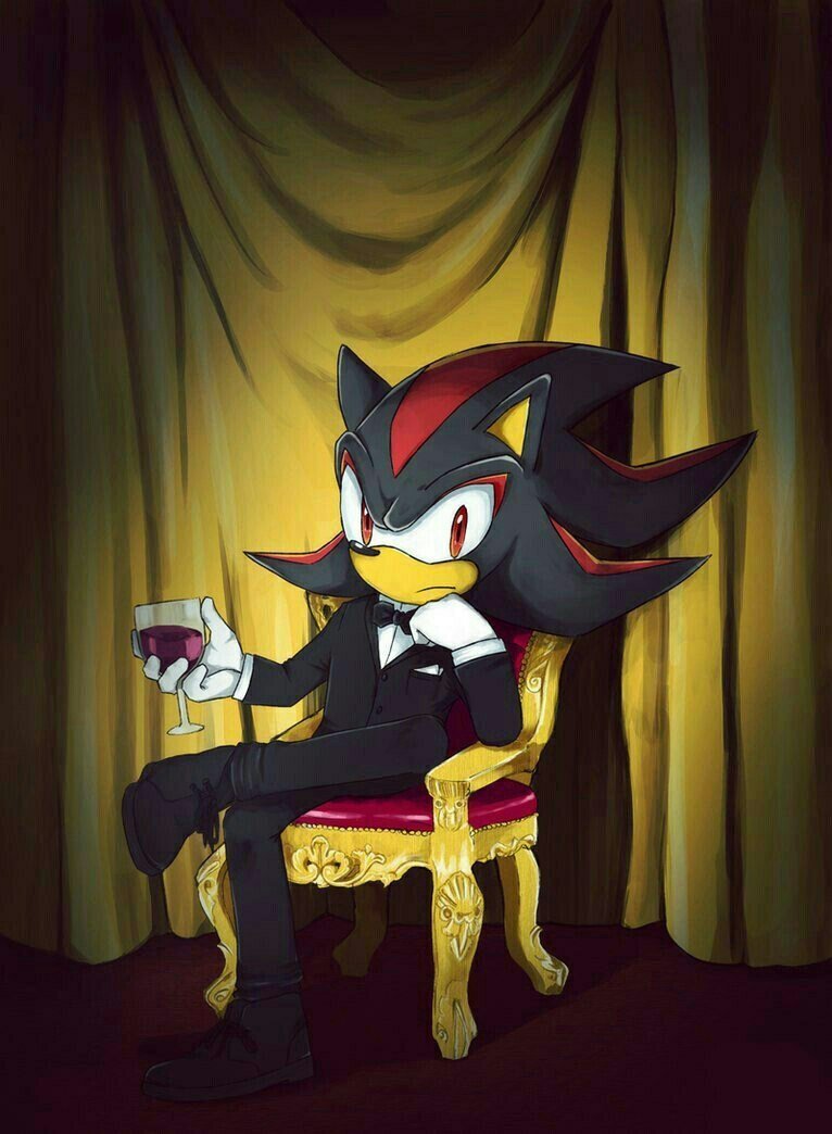 Ёж Шедоу и Соник