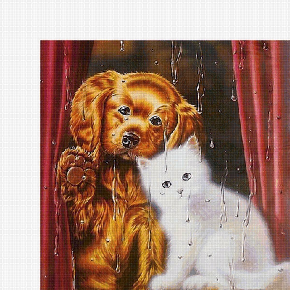 Алмазная мозаика Йорк