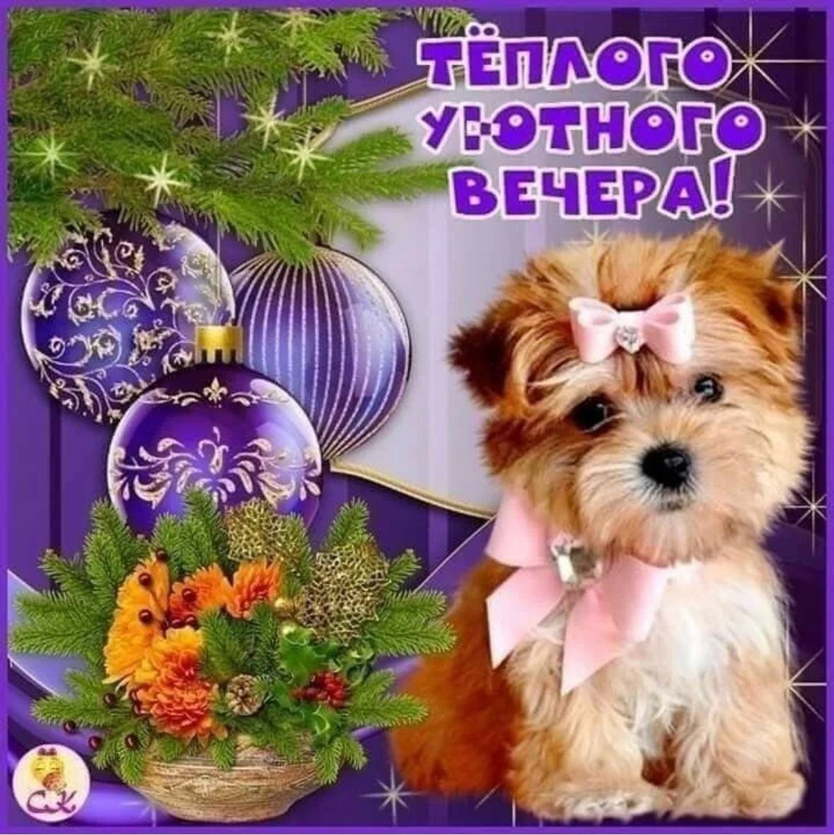 Добрые пожелания