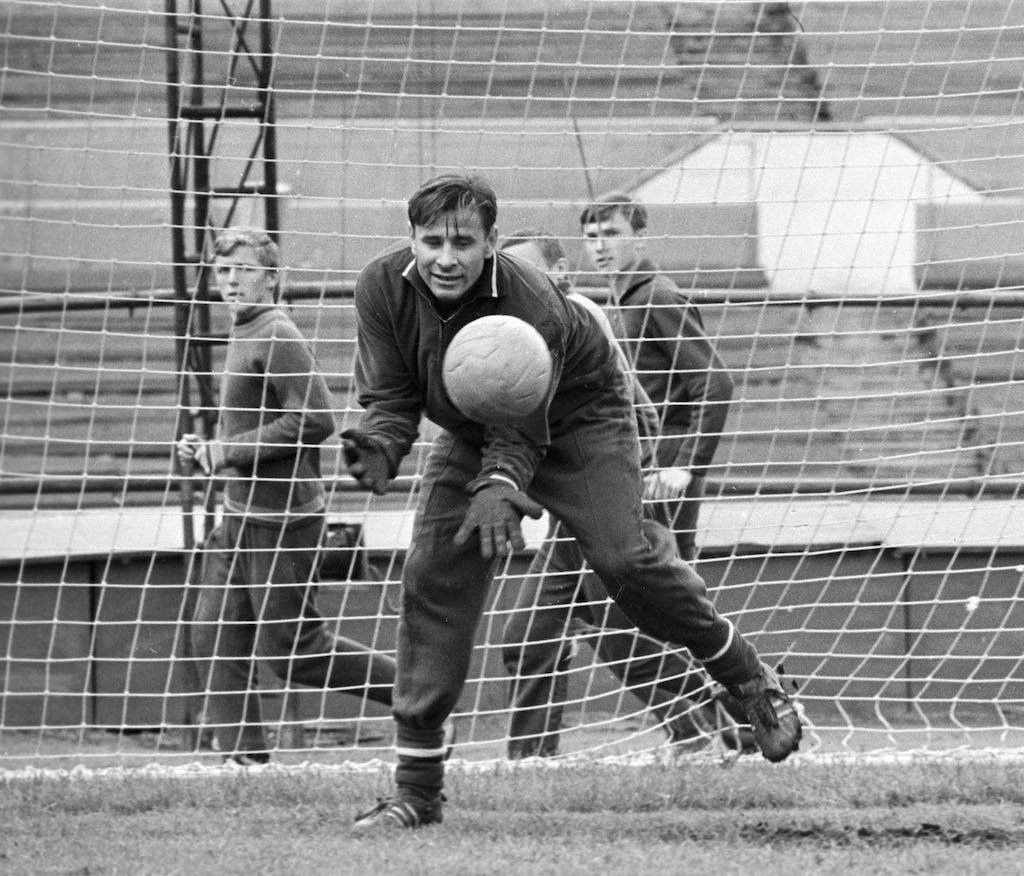 Картинки льва яшина