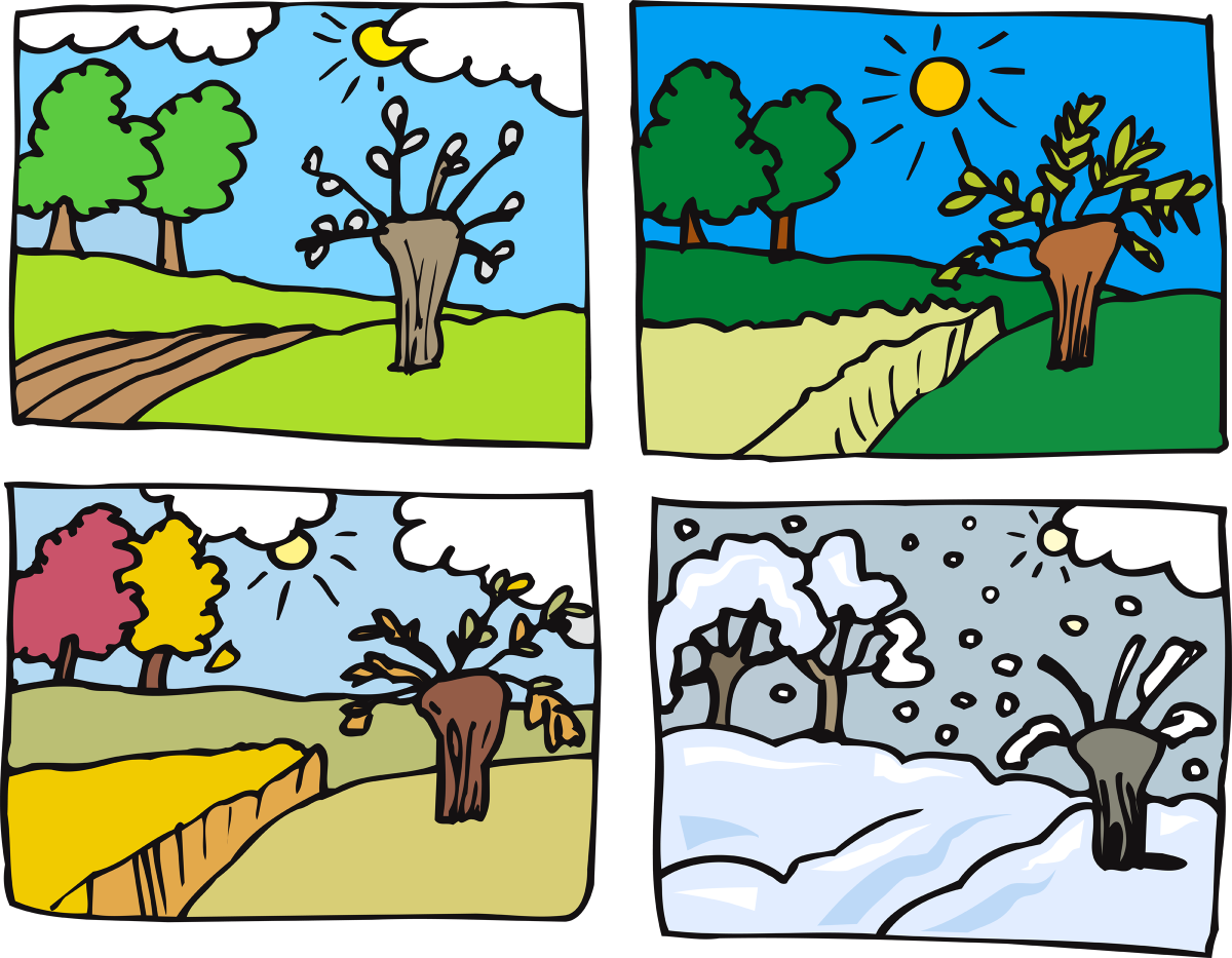 Признаки осени карточки для детей