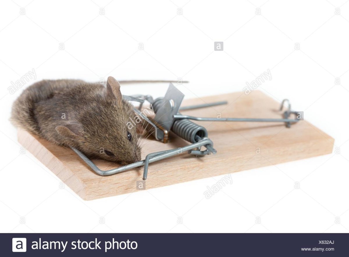 Мышеловка Старая