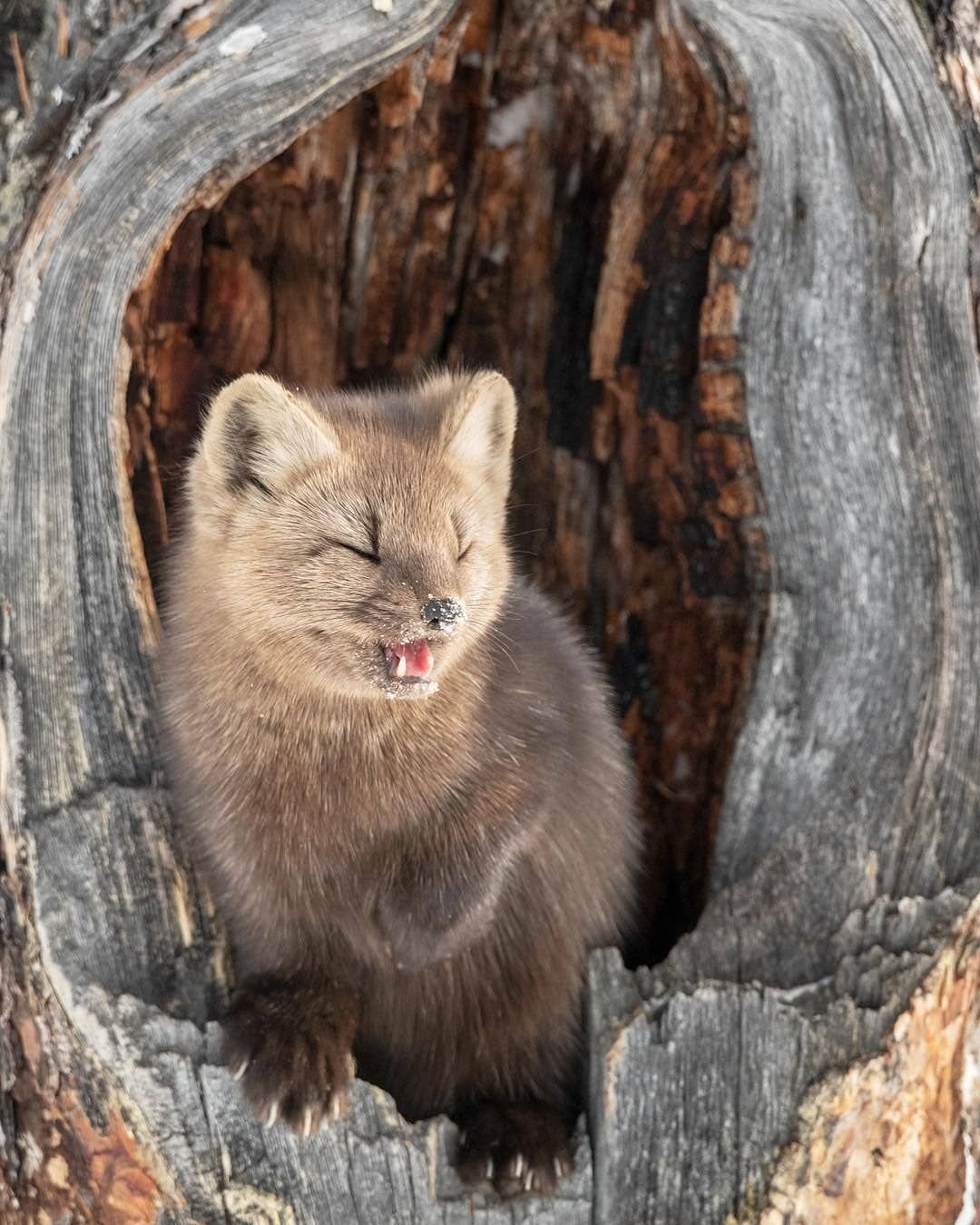 Баргузин заповедник