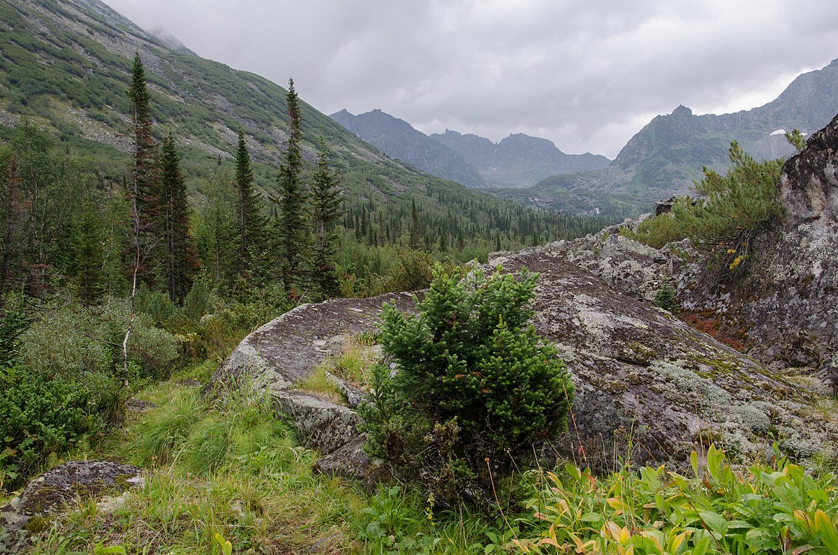 Баргузинский заповедник картинки