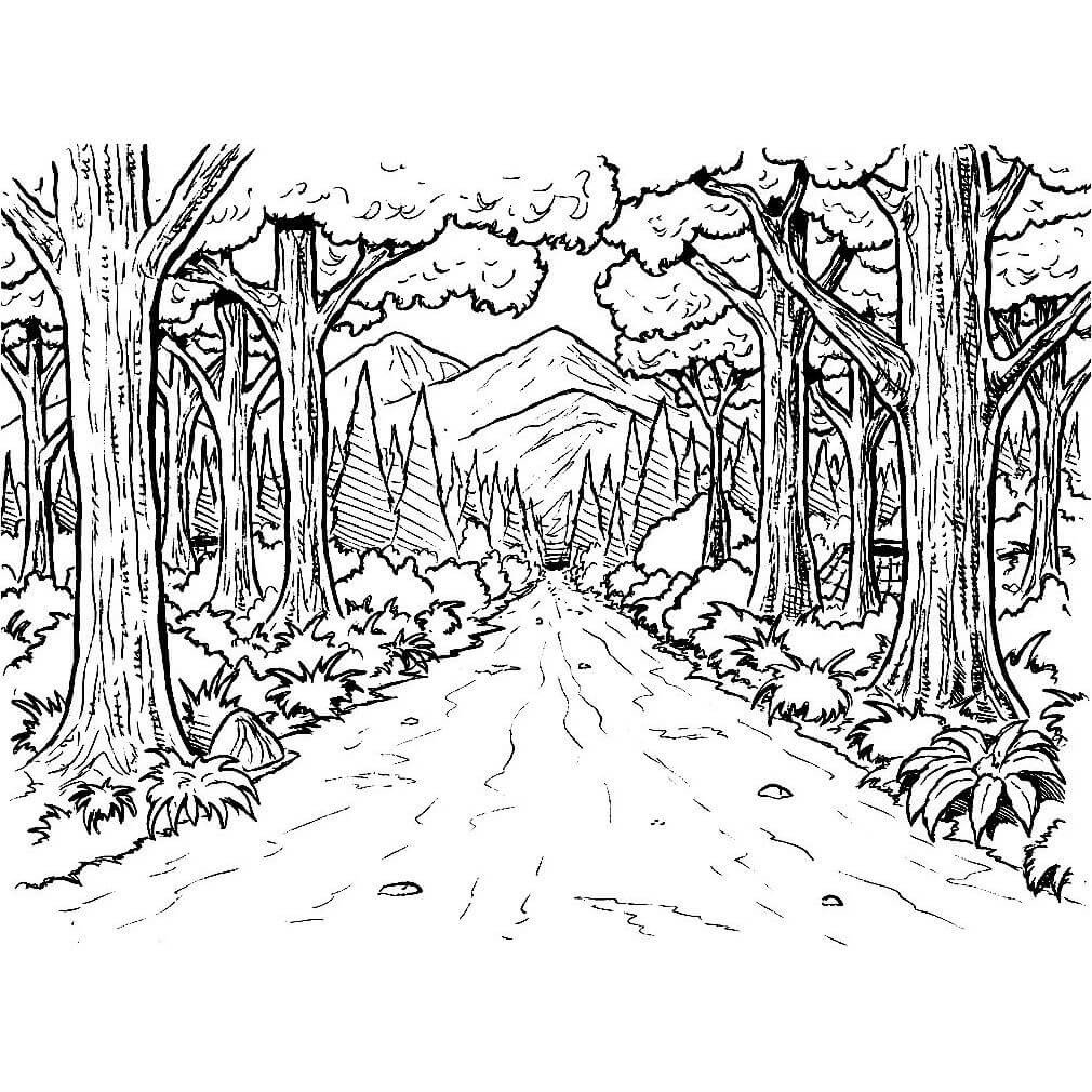 Тропинка Графика