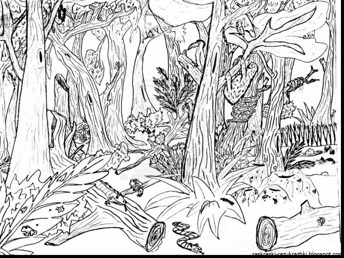 Раскраска деревья и кустарники для детей