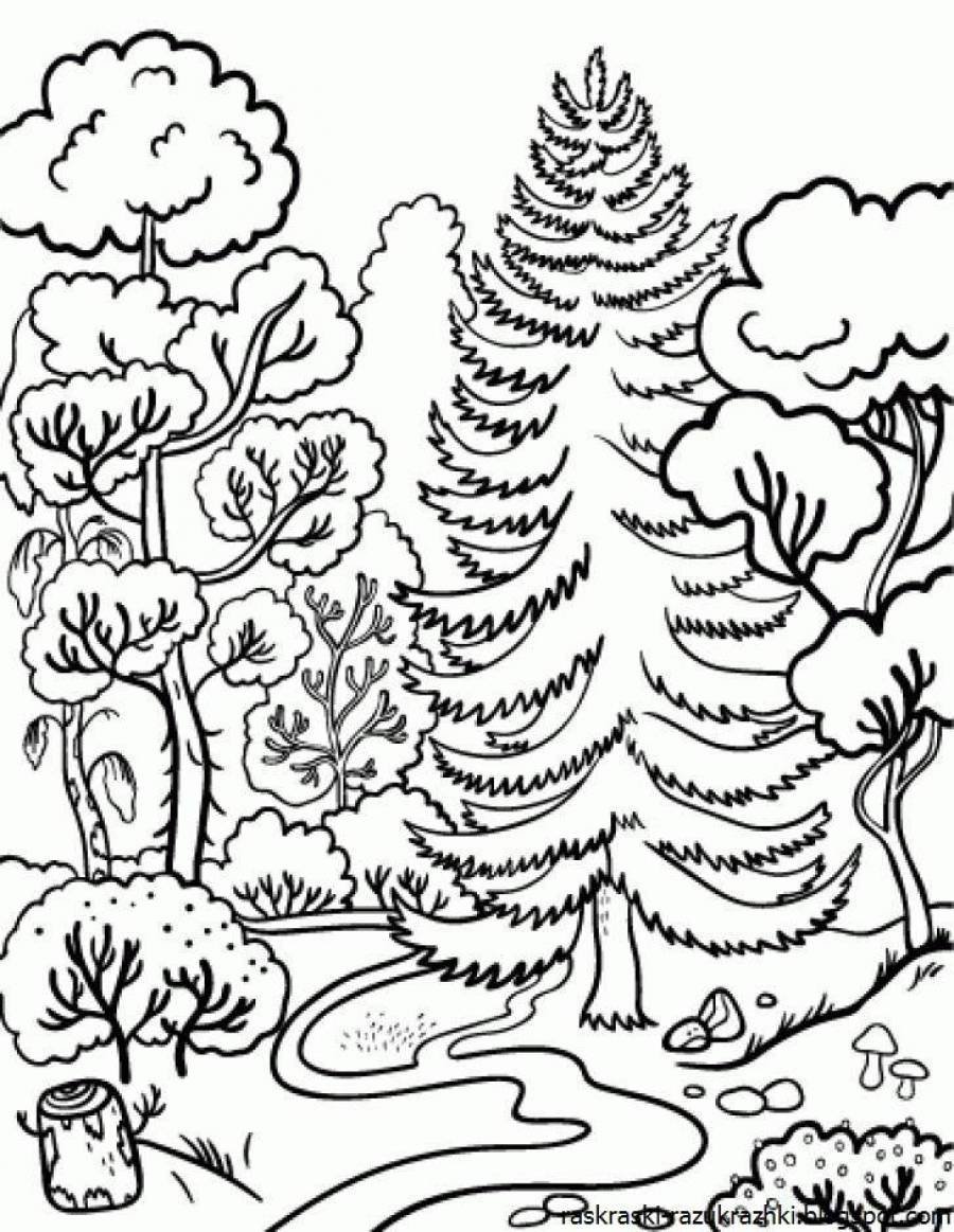 Раскраска Поляна в лесу
