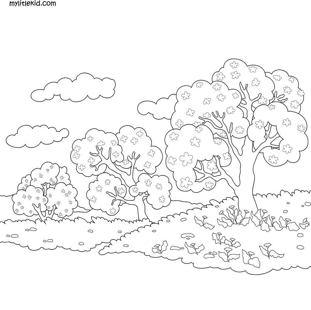 Раскраска тропинка в лесу