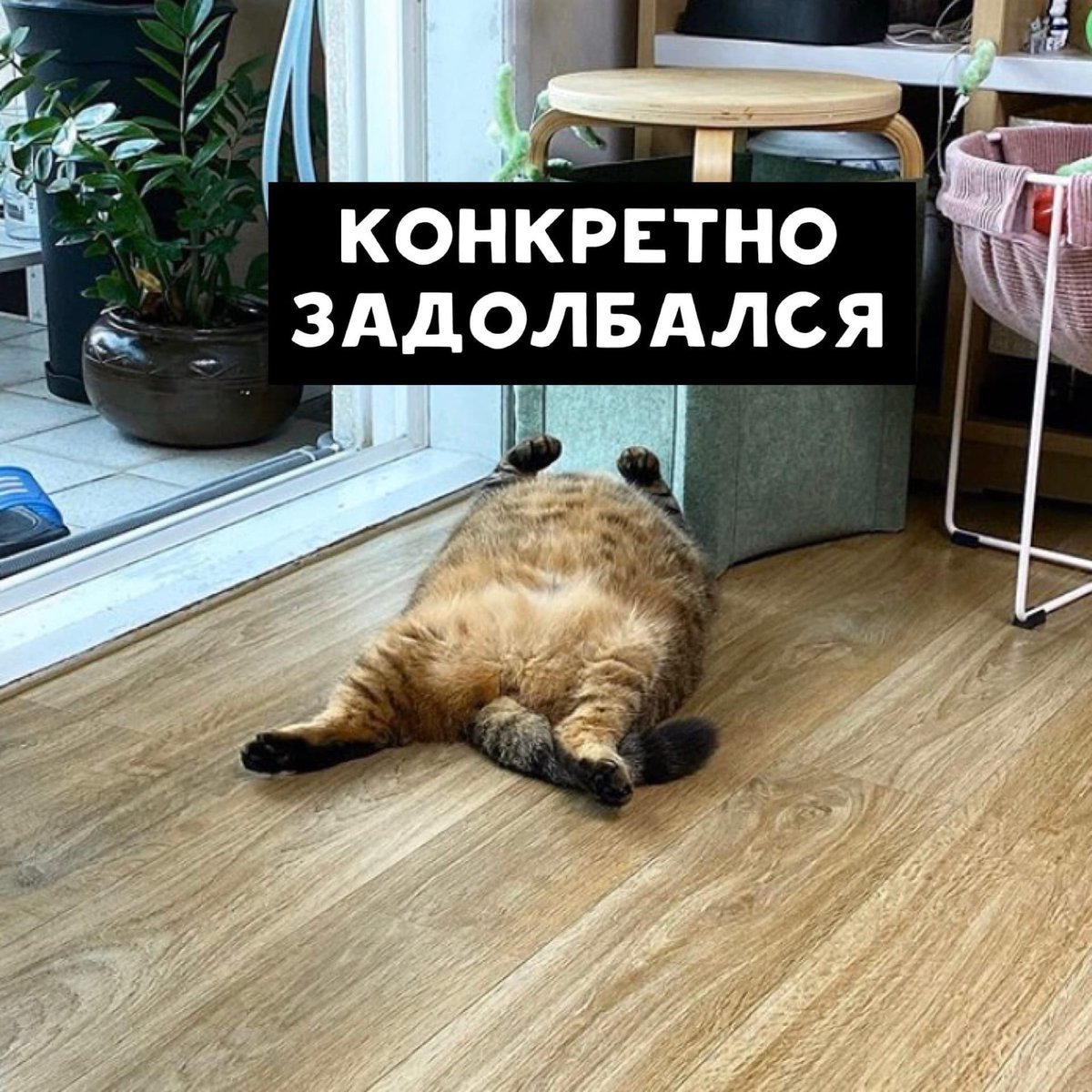 Поздравление с окончанием рабочего дня