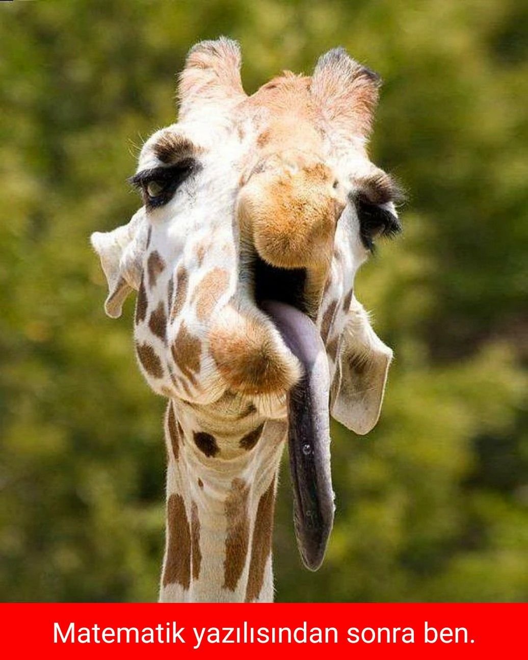 Хорошего отпуска