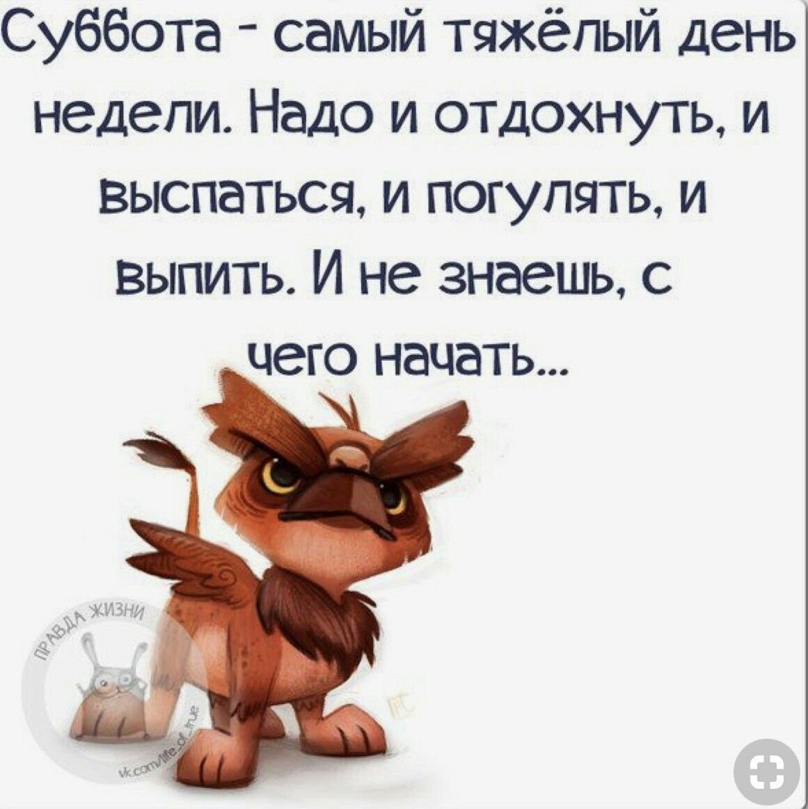 Прикольные поздравления с 1 рабочим днем