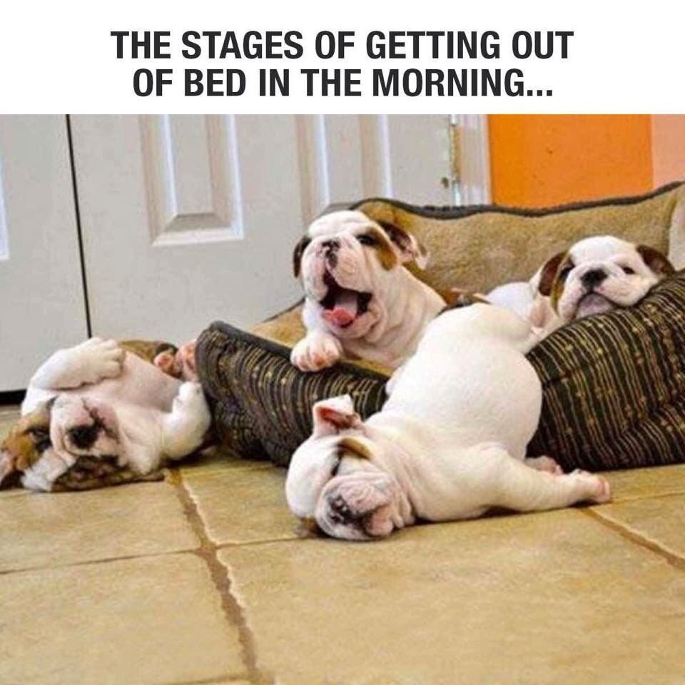 Поздравление с пятницей