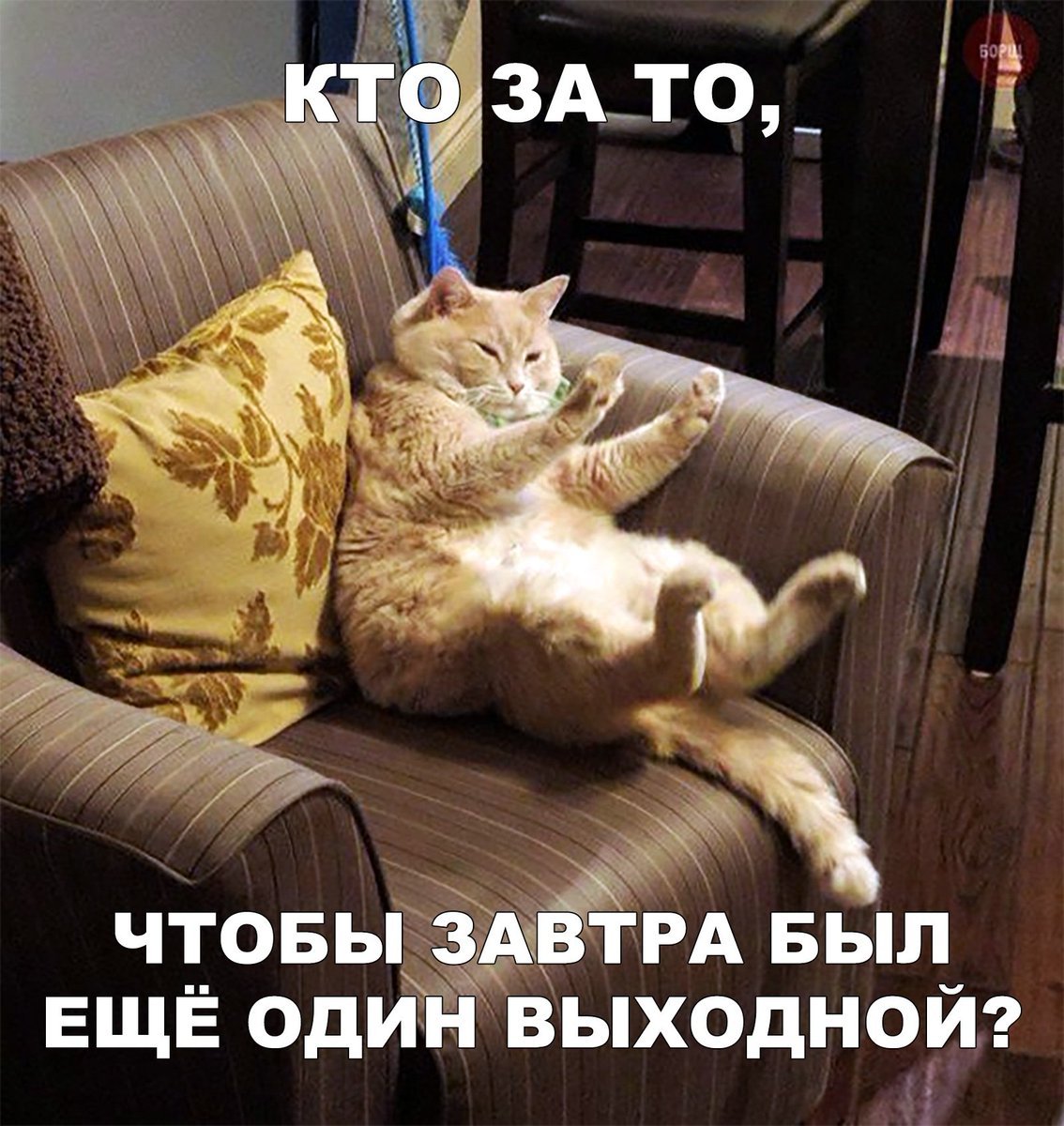 Воскресенье выходной