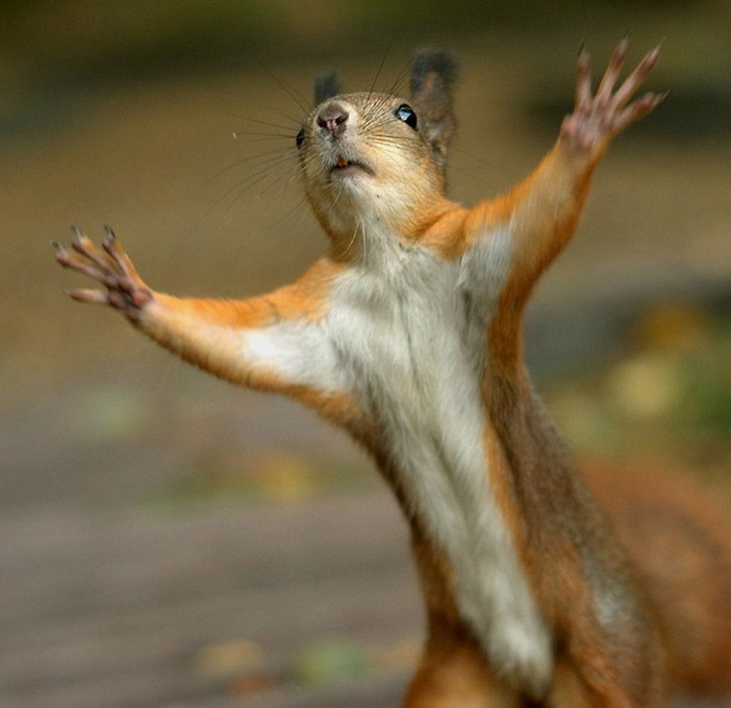 Желаю тебе вот столько счастья