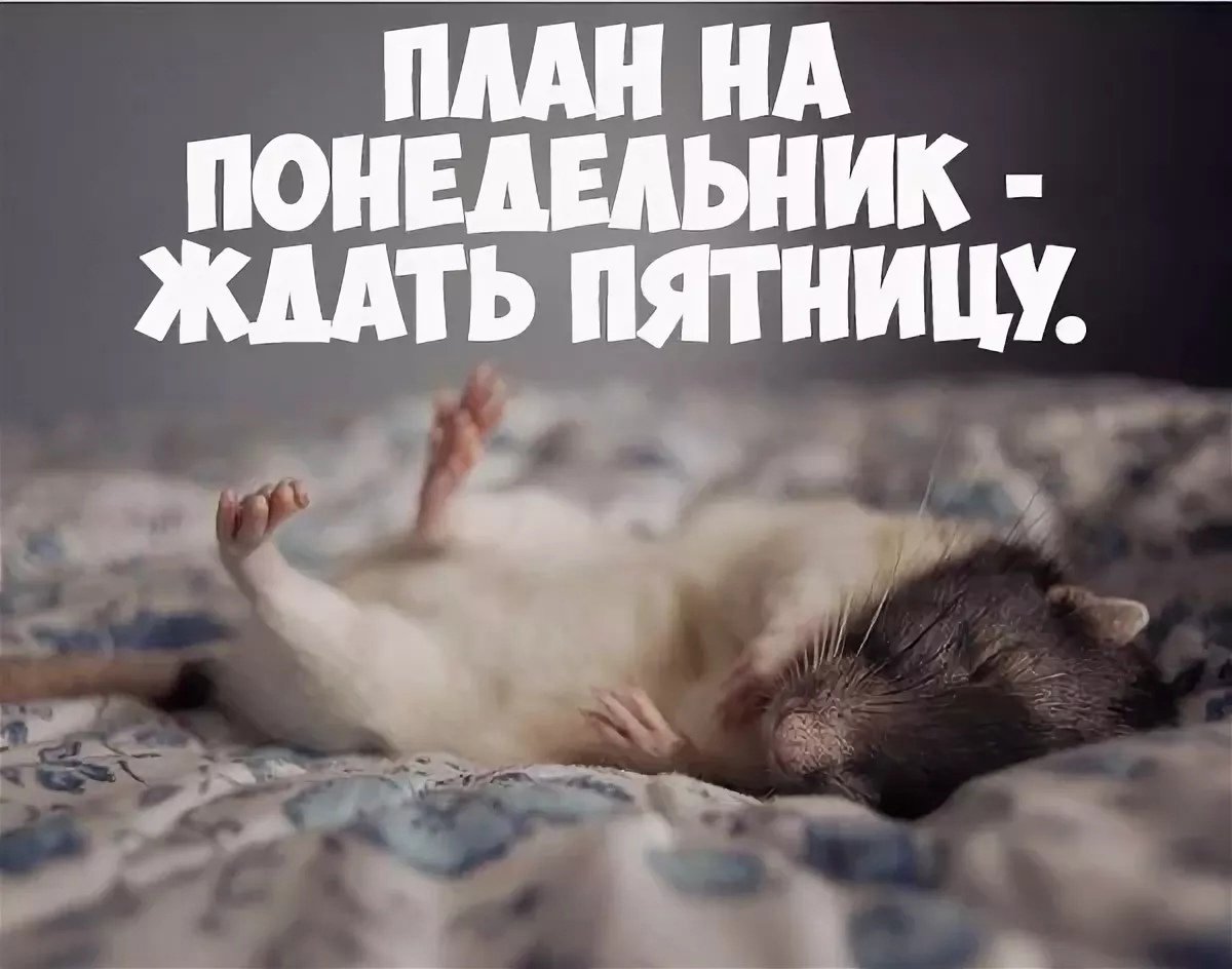 Открытки наконец то пятница