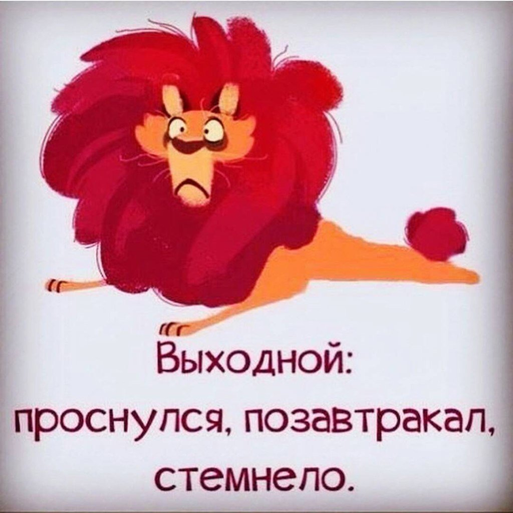 Смешные высказывания про выходные