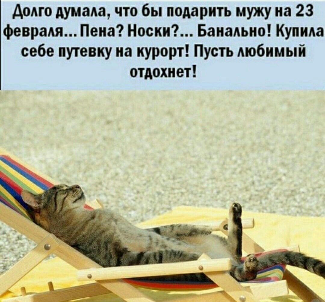 Я В отпуске кошка