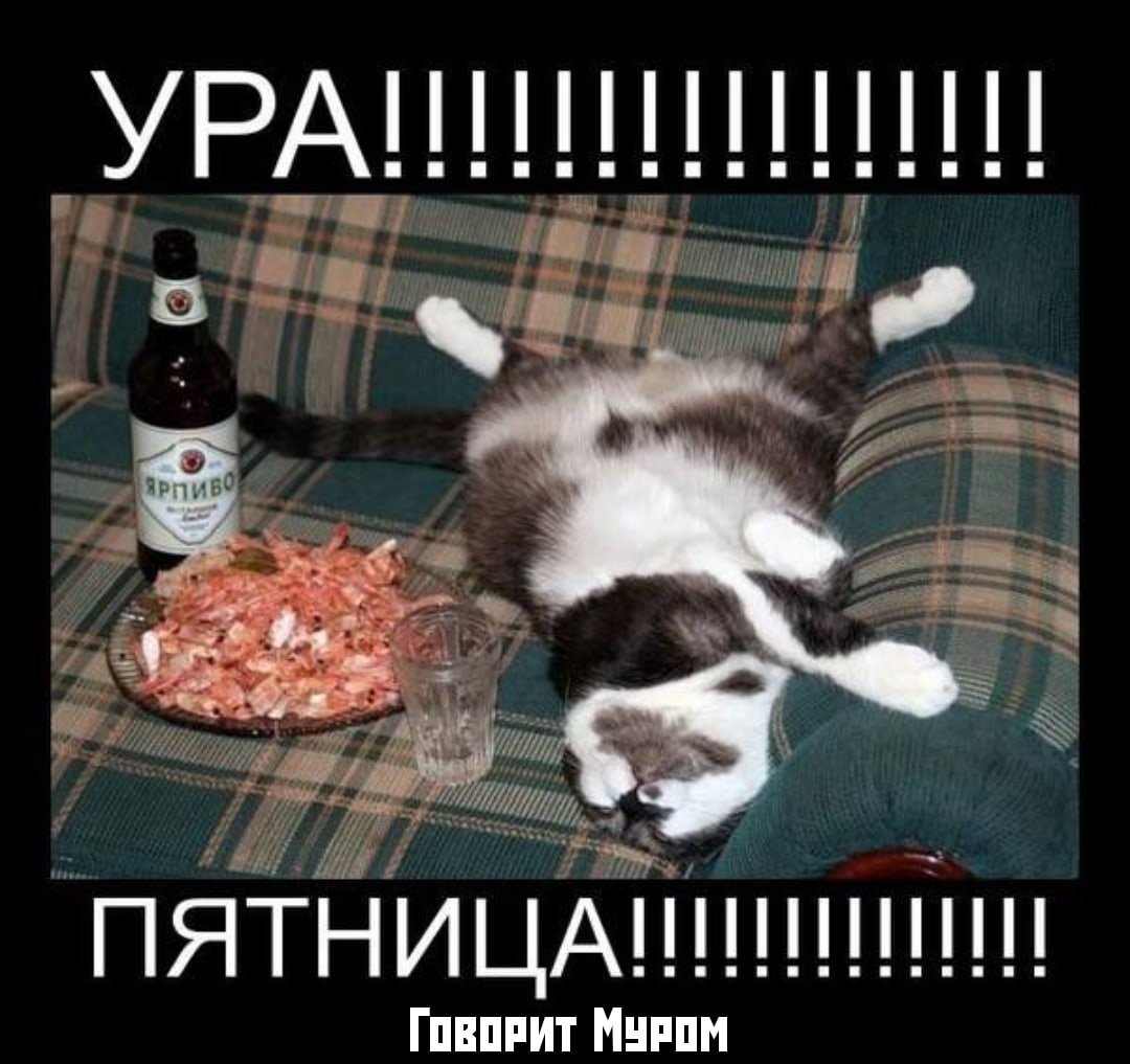 Пятница приколы