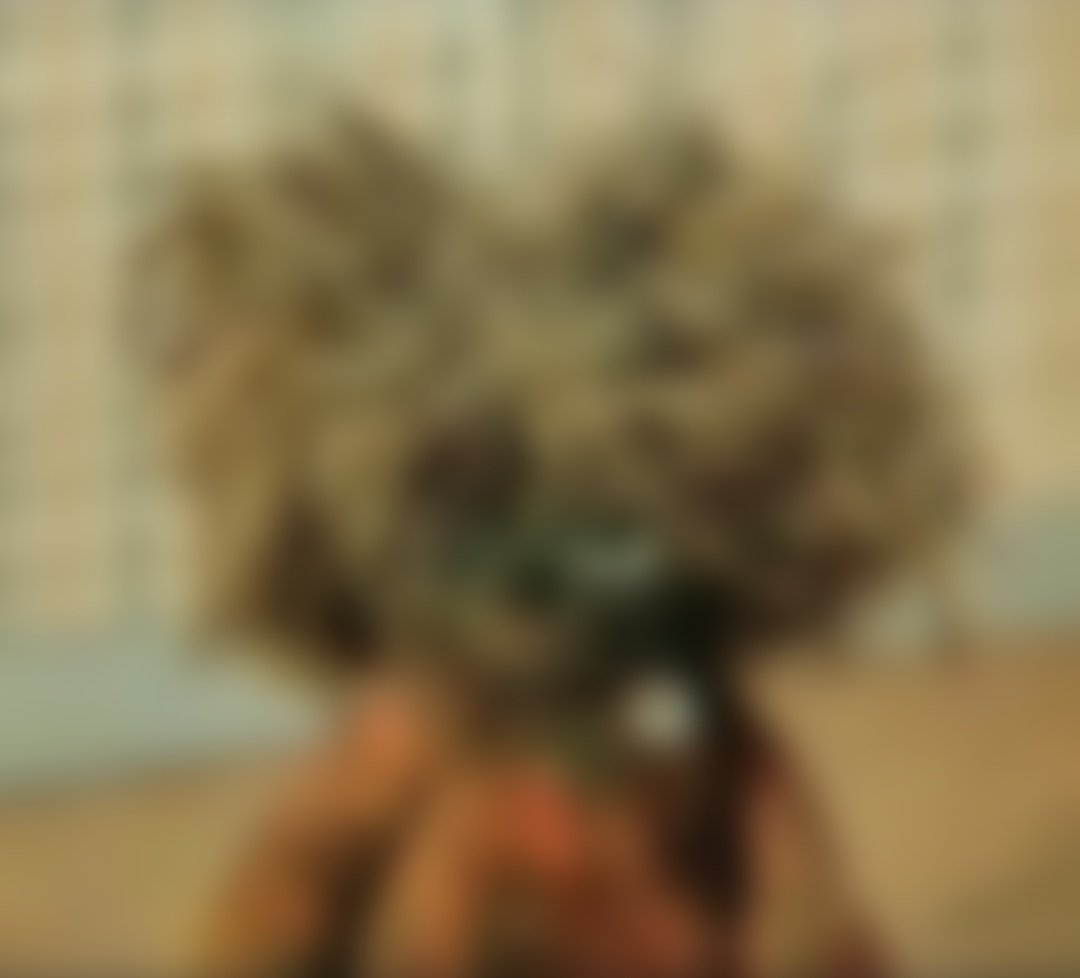 Домовёнок Кузя