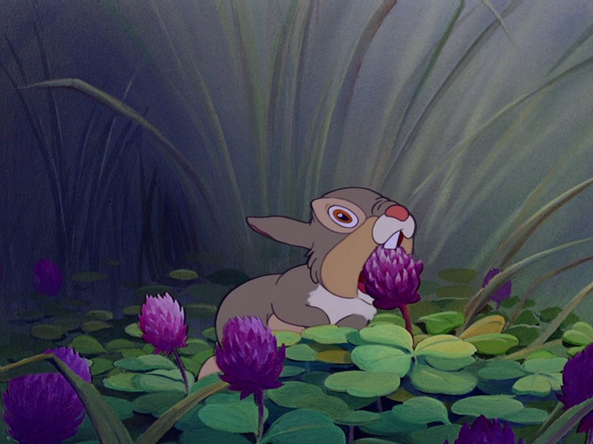 Топотун из бэмби картинки