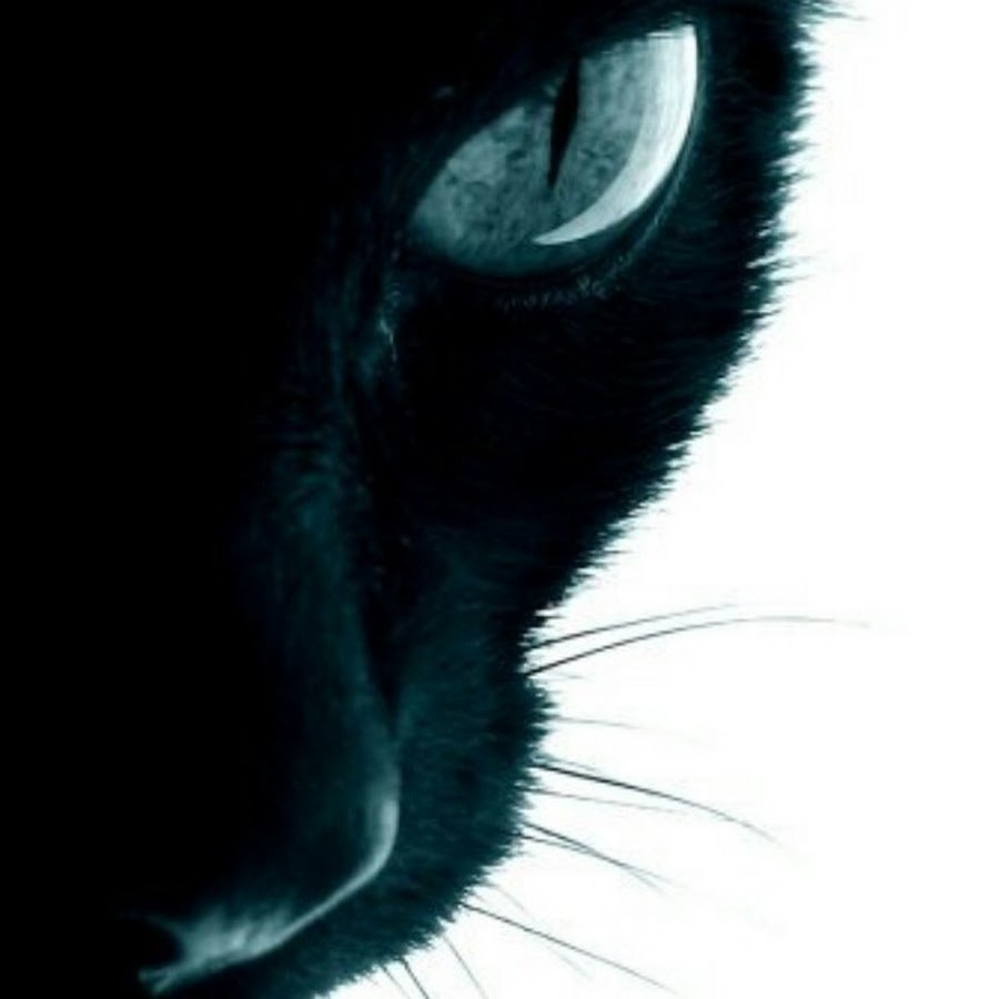 Одиноко одинокий одиночка