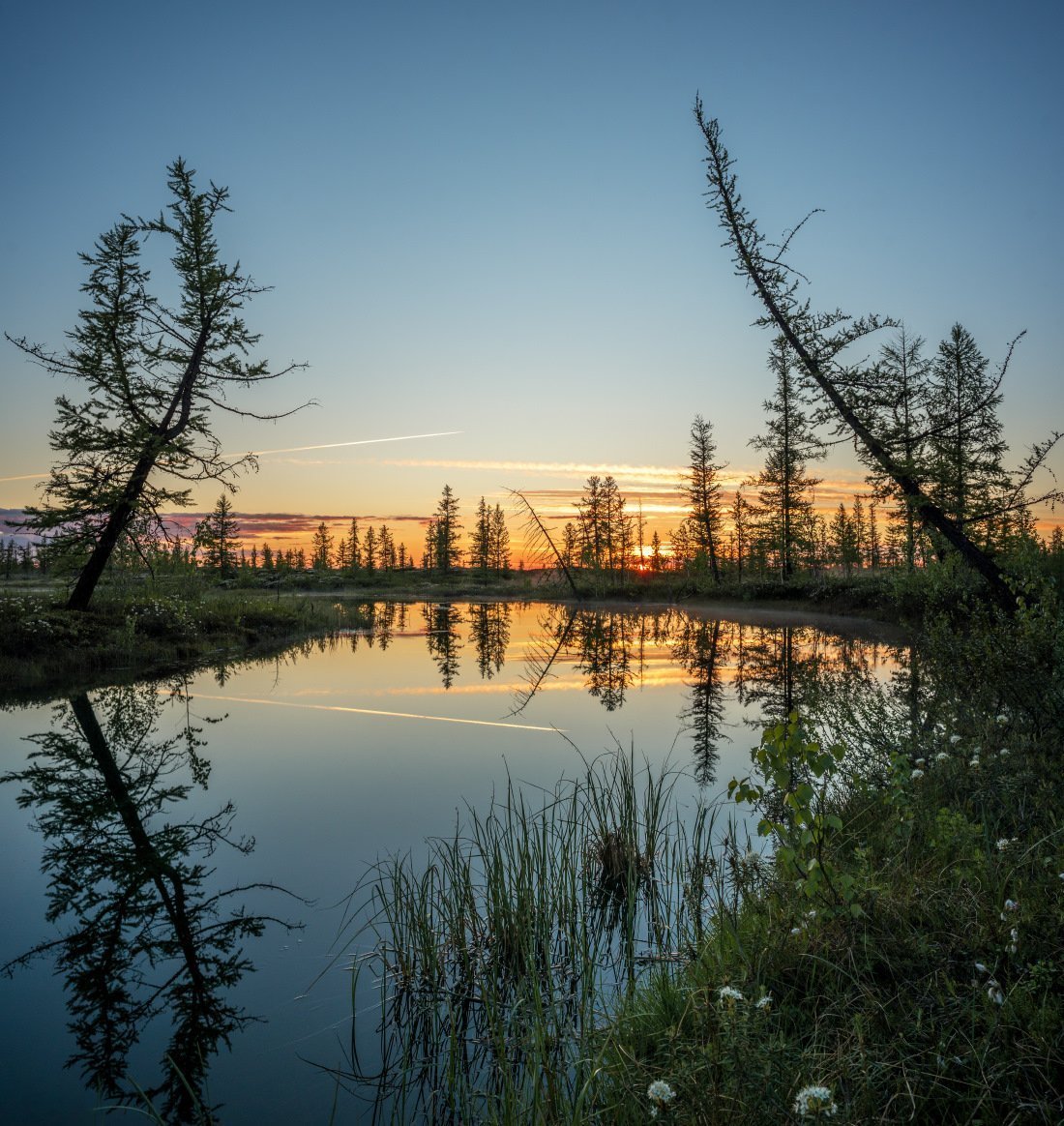 Ямало-Ненецкий автономный округ природа