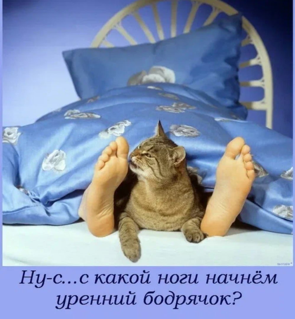 Проснулись доброе утро