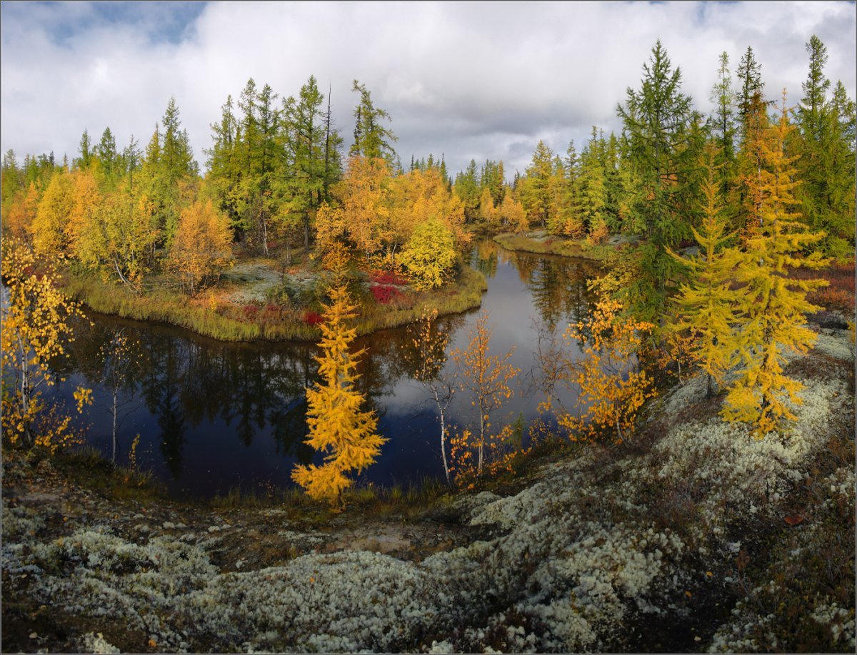 Северная Тайга ЯНАО